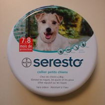 Seresto Collier anti-puces Petits chiens Bayer